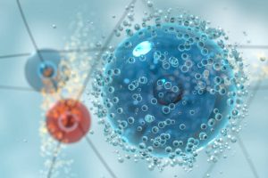 Cell and Molecular Biology